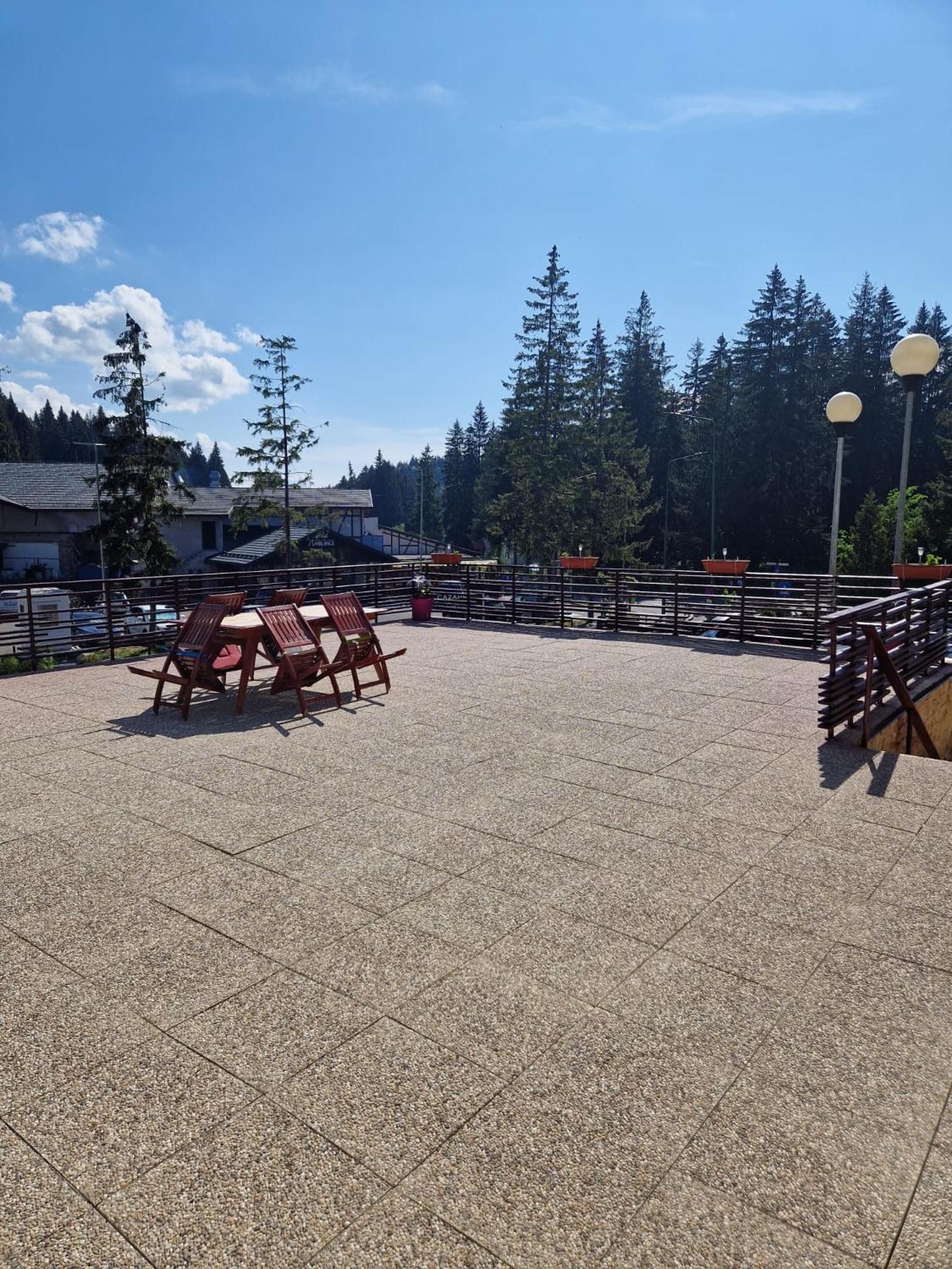 Vila Pinul Si Mesteacanul Poiana Brasov Exterior photo